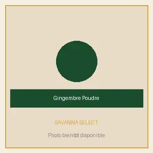 Gingembre Africain en Poudre — SAVANNA SELECT
