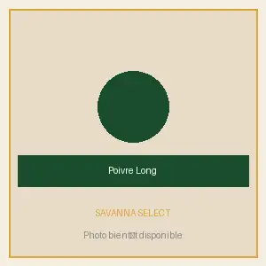 Poivre Long Africain — SAVANNA SELECT