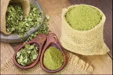 Poudre de moringa — SAVANNA SELECT